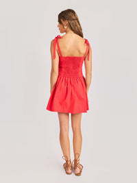 The Canyon Mini Dress